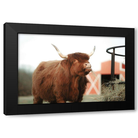 Hungry Cow II Black Modern Wood Framed Art Print by Diener, Dakota