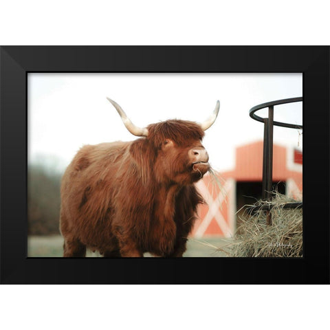 Hungry Cow II Black Modern Wood Framed Art Print by Diener, Dakota