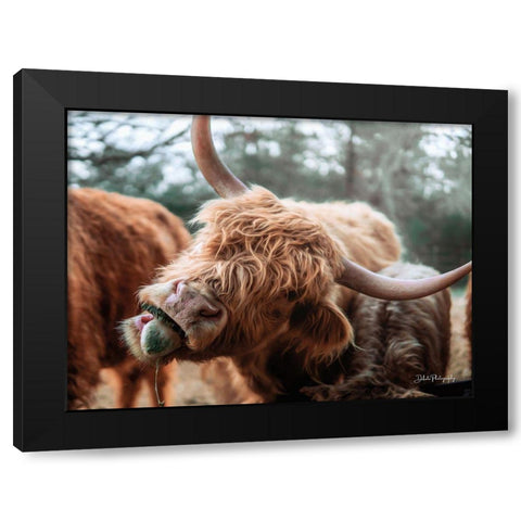 Crazy Cow II Black Modern Wood Framed Art Print with Double Matting by Diener, Dakota