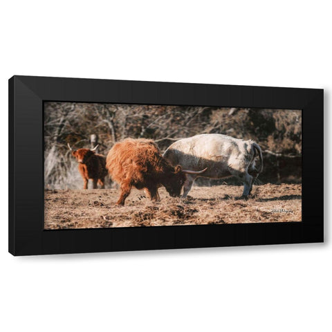 Highland Fight Black Modern Wood Framed Art Print by Diener, Dakota