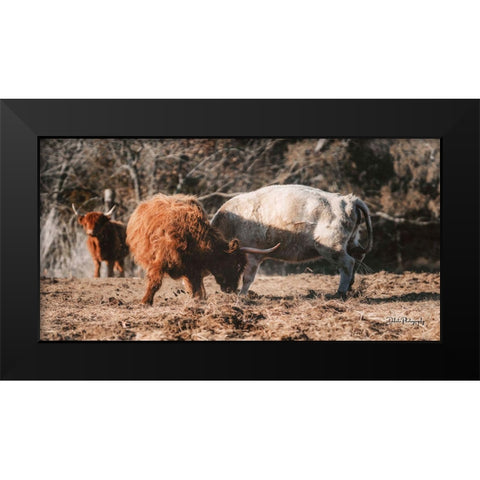 Highland Fight Black Modern Wood Framed Art Print by Diener, Dakota