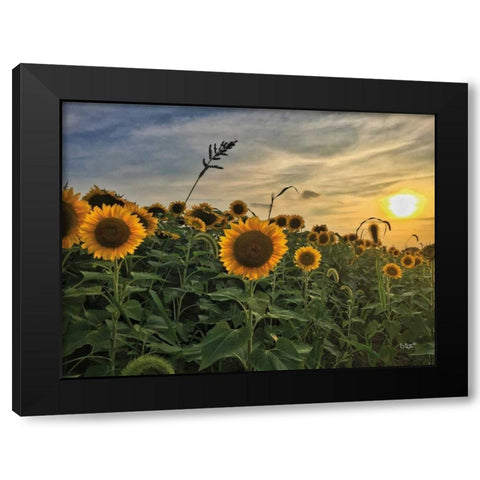 Midwest Livin I Black Modern Wood Framed Art Print by Quillen, Donnie