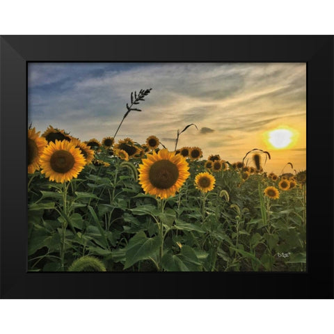 Midwest Livin I Black Modern Wood Framed Art Print by Quillen, Donnie