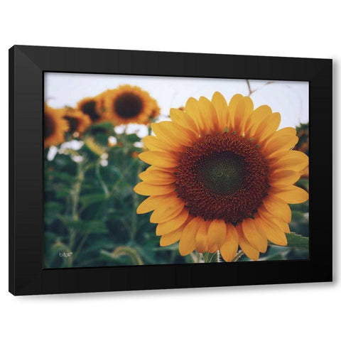 Midwest Livin II Black Modern Wood Framed Art Print with Double Matting by Quillen, Donnie
