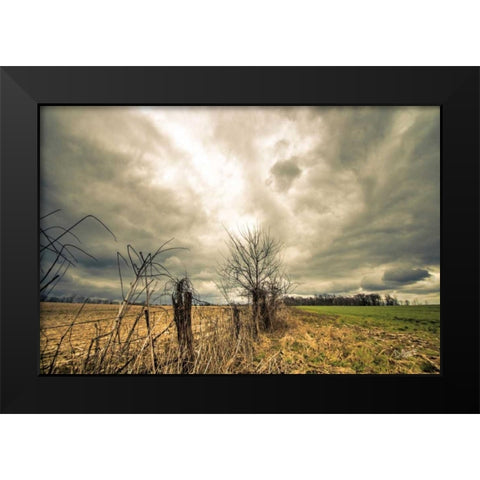 Storm Season II Black Modern Wood Framed Art Print by Quillen, Donnie