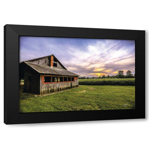A Summer Sunset I Black Modern Wood Framed Art Print with Double Matting by Quillen, Donnie