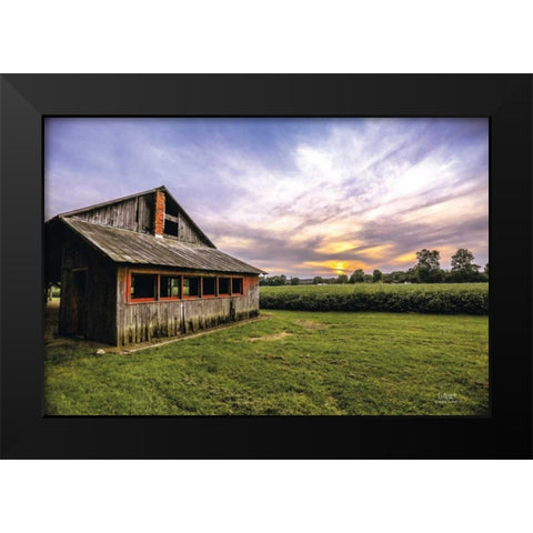 A Summer Sunset I Black Modern Wood Framed Art Print by Quillen, Donnie