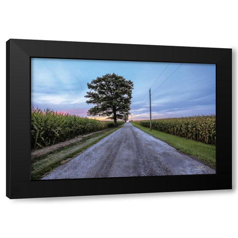 A Summer Sunset II Black Modern Wood Framed Art Print by Quillen, Donnie