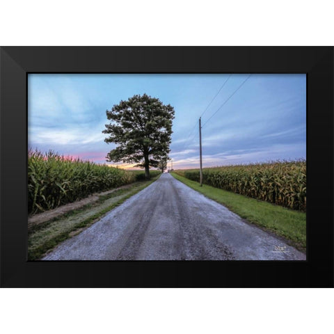 A Summer Sunset II Black Modern Wood Framed Art Print by Quillen, Donnie