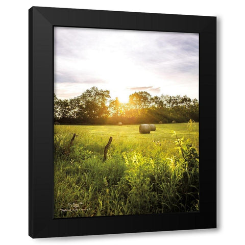 Daybreak in the Country I Black Modern Wood Framed Art Print by Quillen, Donnie