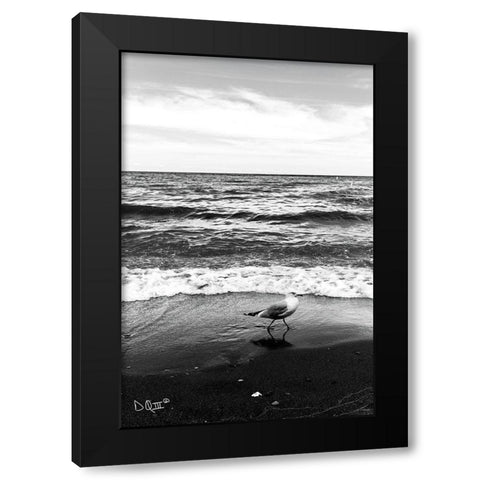 Seagull I    Black Modern Wood Framed Art Print by Quillen, Donnie