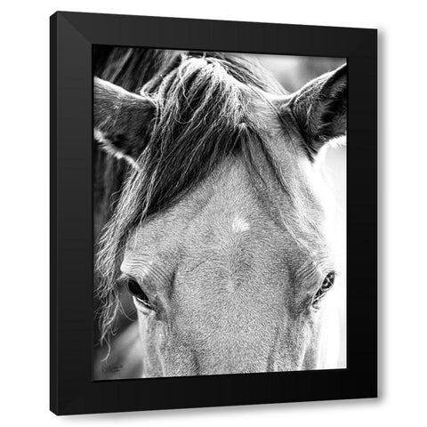 Trophy Winner I   Black Modern Wood Framed Art Print by Quillen, Donnie