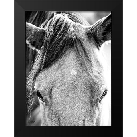 Trophy Winner I   Black Modern Wood Framed Art Print by Quillen, Donnie