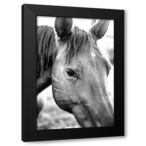 Trophy Winner II   Black Modern Wood Framed Art Print with Double Matting by Quillen, Donnie