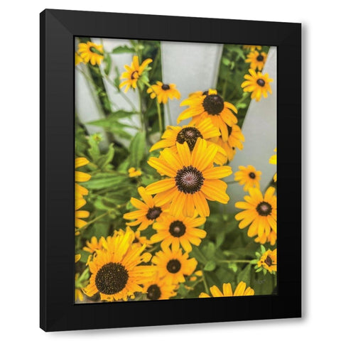 Bed of Yellow Black Modern Wood Framed Art Print by Quillen, Donnie