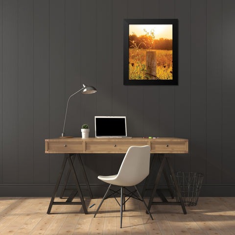 Post Black Modern Wood Framed Art Print by Quillen, Donnie