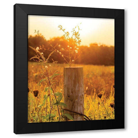 Post Black Modern Wood Framed Art Print with Double Matting by Quillen, Donnie