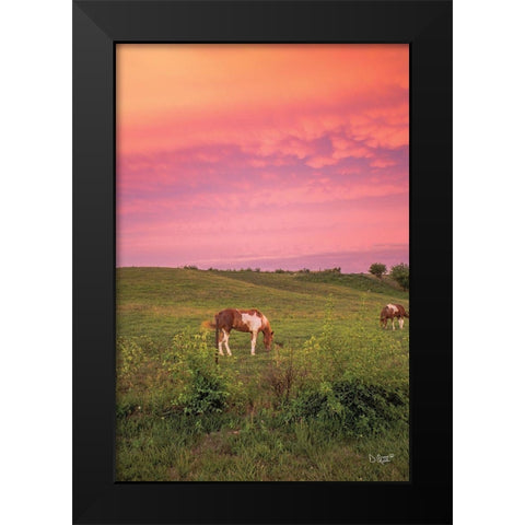 Horse at Sunset  Black Modern Wood Framed Art Print by Quillen, Donnie