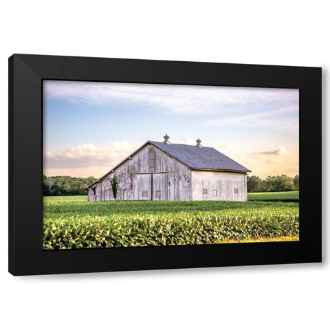 Rural Ohio Barn Black Modern Wood Framed Art Print with Double Matting by Quillen, Donnie