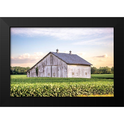 Rural Ohio Barn Black Modern Wood Framed Art Print by Quillen, Donnie
