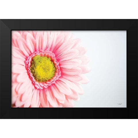 Daisy Close-up Black Modern Wood Framed Art Print by Quillen, Donnie