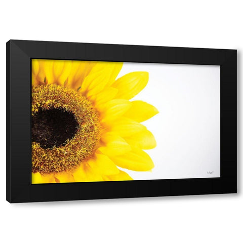 Sunflower Close-up Black Modern Wood Framed Art Print with Double Matting by Quillen, Donnie