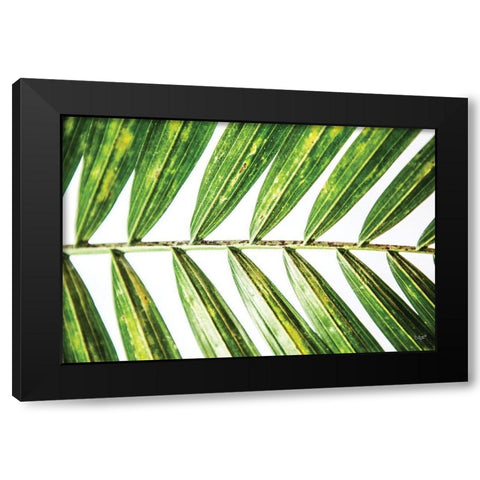 Leaf Study I Black Modern Wood Framed Art Print with Double Matting by Quillen, Donnie