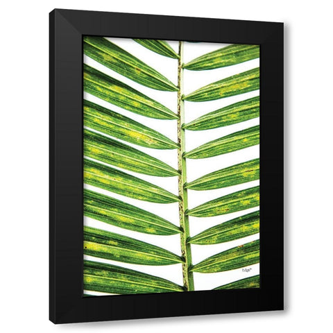 Leaf Study II Black Modern Wood Framed Art Print by Quillen, Donnie