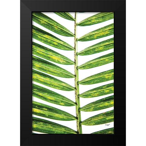 Leaf Study II Black Modern Wood Framed Art Print by Quillen, Donnie