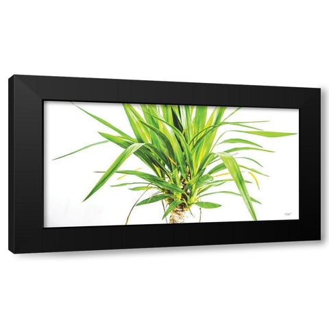Leafy Days Black Modern Wood Framed Art Print by Quillen, Donnie