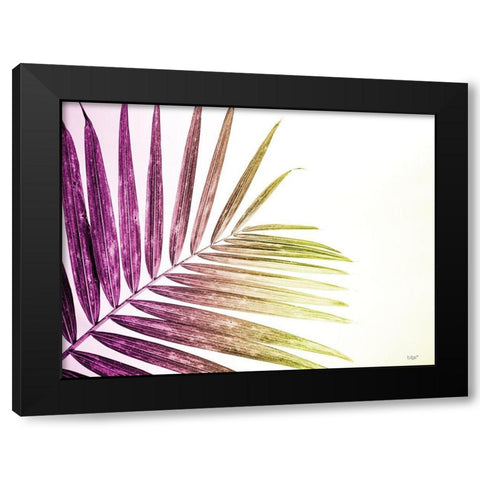 Rainbow Leaf Black Modern Wood Framed Art Print with Double Matting by Quillen, Donnie