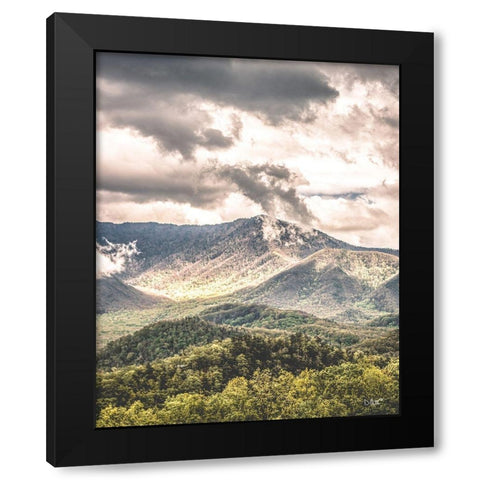 After the Storm Black Modern Wood Framed Art Print with Double Matting by Quillen, Donnie