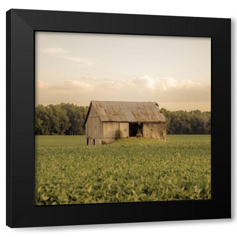 Rural Barn Black Modern Wood Framed Art Print with Double Matting by Quillen, Donnie