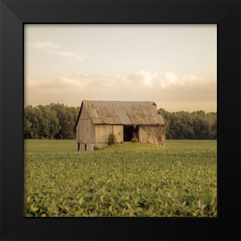 Rural Barn Black Modern Wood Framed Art Print by Quillen, Donnie
