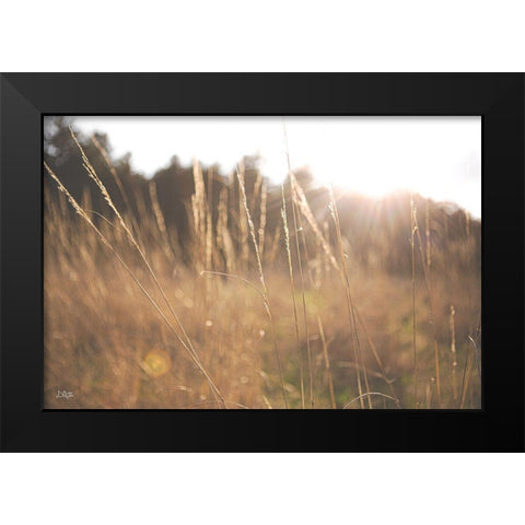 Bright Sun Haze II Black Modern Wood Framed Art Print by Quillen, Donnie