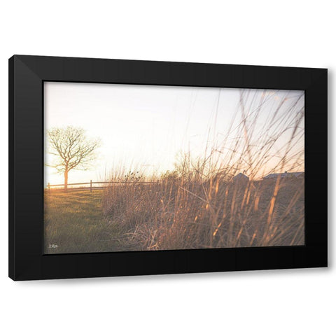 Bright Sun Haze IV Black Modern Wood Framed Art Print by Quillen, Donnie