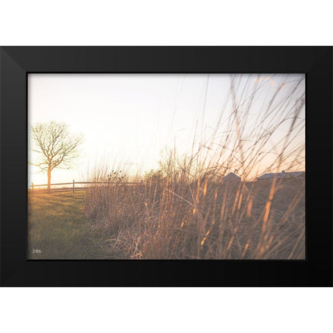 Bright Sun Haze IV Black Modern Wood Framed Art Print by Quillen, Donnie