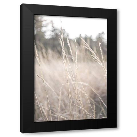 Field of Dreams I Black Modern Wood Framed Art Print with Double Matting by Quillen, Donnie