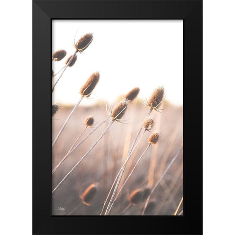 Field of Dreams II Black Modern Wood Framed Art Print by Quillen, Donnie