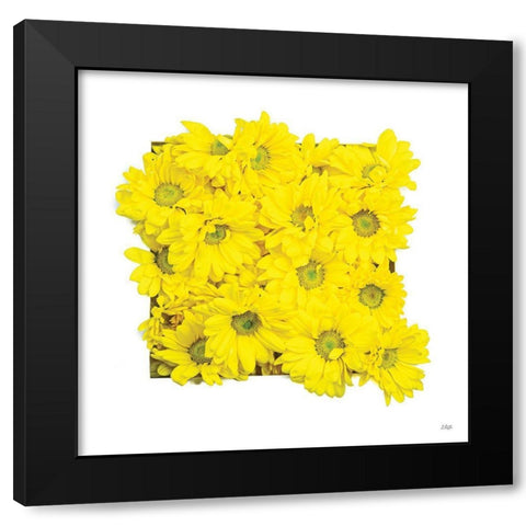 Floral Pop II Black Modern Wood Framed Art Print by Quillen, Donnie