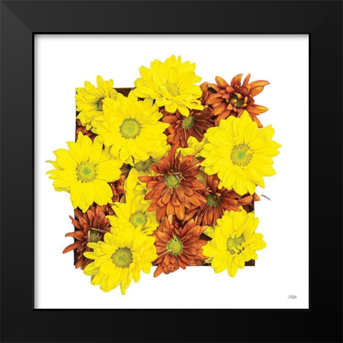 Floral Pop III Black Modern Wood Framed Art Print by Quillen, Donnie