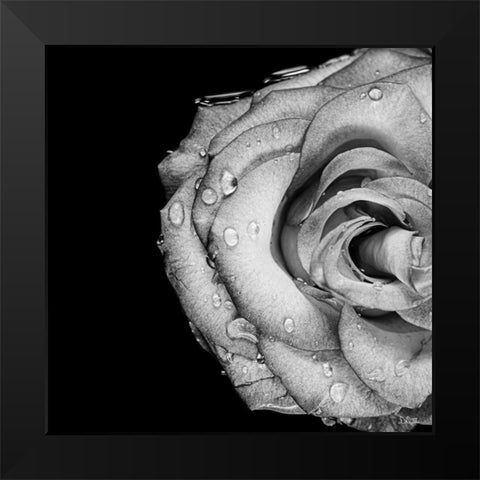 Lost Love Black Modern Wood Framed Art Print by Quillen, Donnie