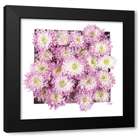 Pretty in Purple II Black Modern Wood Framed Art Print by Quillen, Donnie
