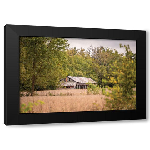 Barn in the Country II Black Modern Wood Framed Art Print with Double Matting by Quillen, Donnie