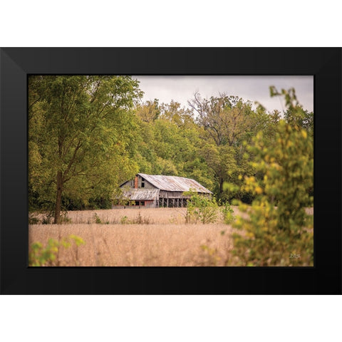 Barn in the Country II Black Modern Wood Framed Art Print by Quillen, Donnie