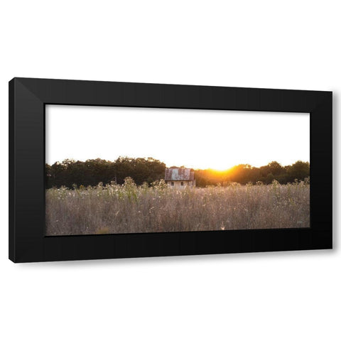 Field Find  Black Modern Wood Framed Art Print by Quillen, Donnie
