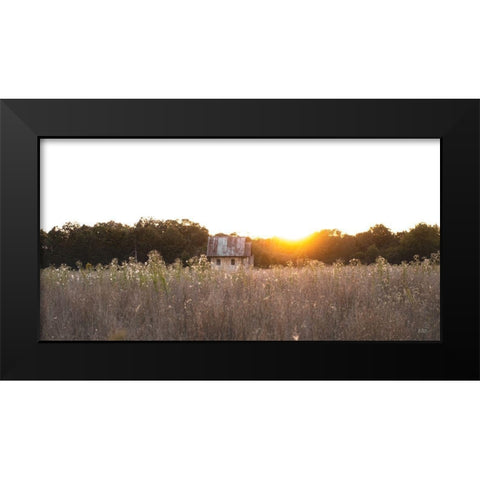 Field Find  Black Modern Wood Framed Art Print by Quillen, Donnie