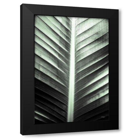 Leaf Lines Black Modern Wood Framed Art Print with Double Matting by Quillen, Donnie