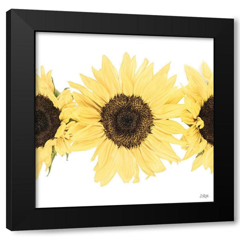 Sunflowers in a Row I Black Modern Wood Framed Art Print with Double Matting by Quillen, Donnie