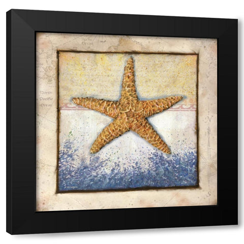 Starfish Black Modern Wood Framed Art Print by Wargo, Ed